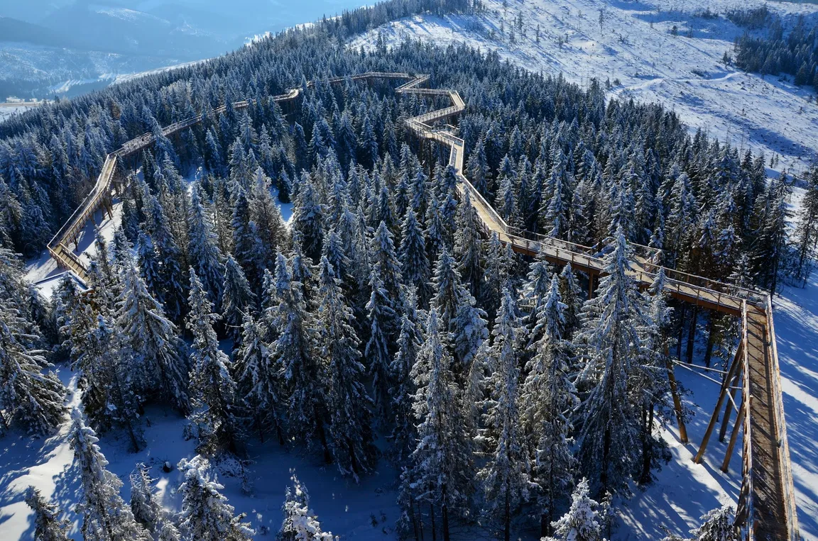 Treetop Walk Bachledka