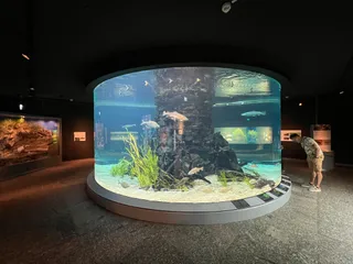Naturmuseum Dortmund