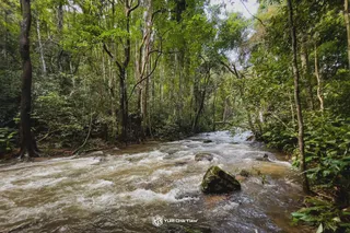 Pha Dok Sieo Nature Trail