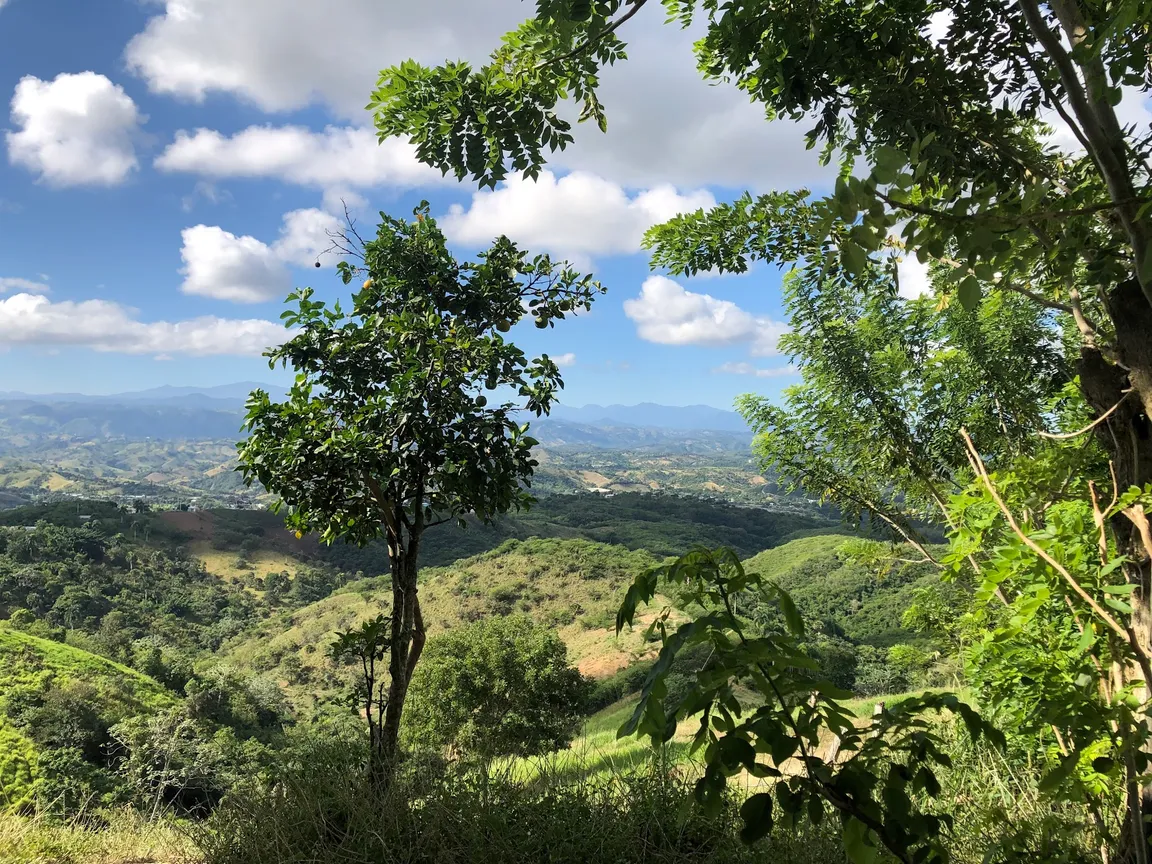 Hacienda El Jaragual