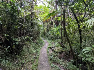 Park Narodowy El Yunque