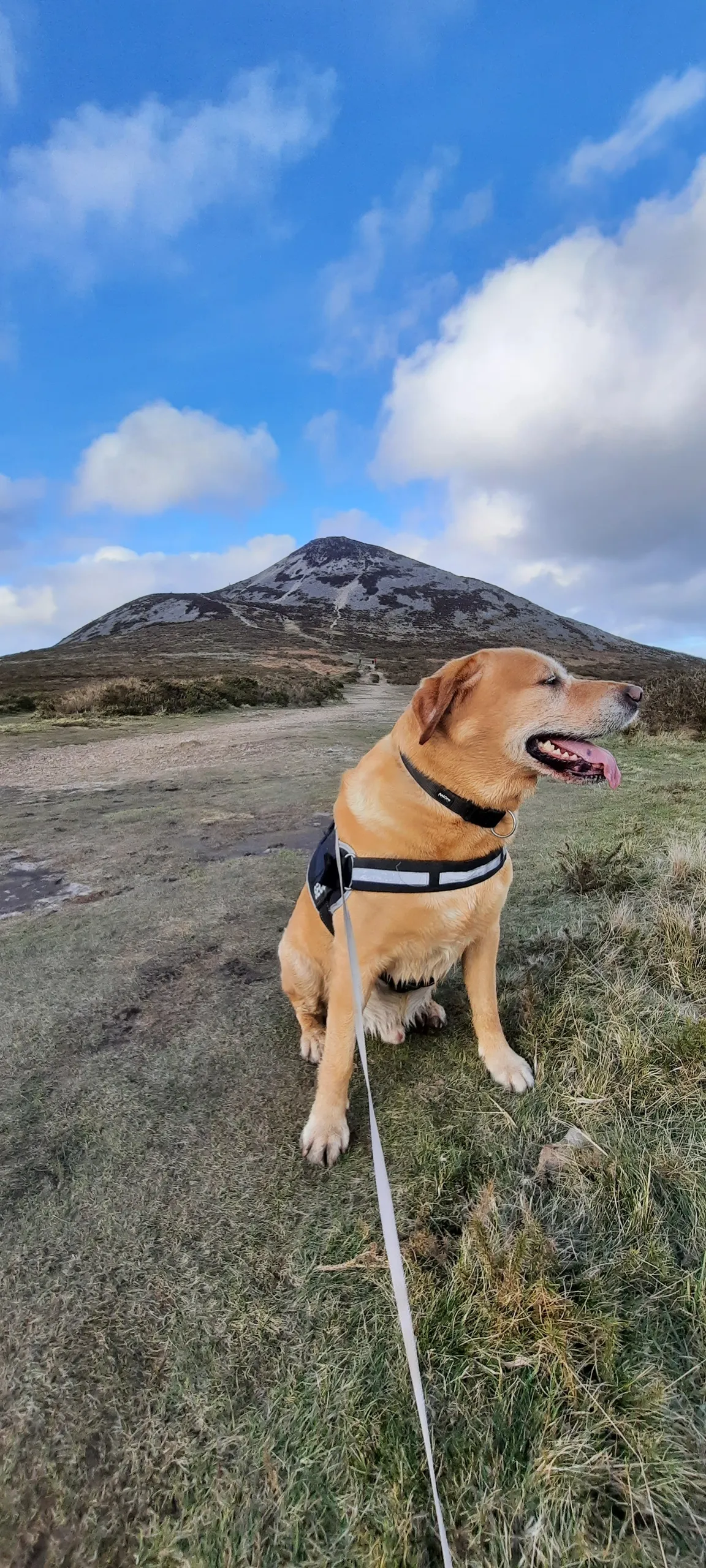 The Great Sugar Loaf