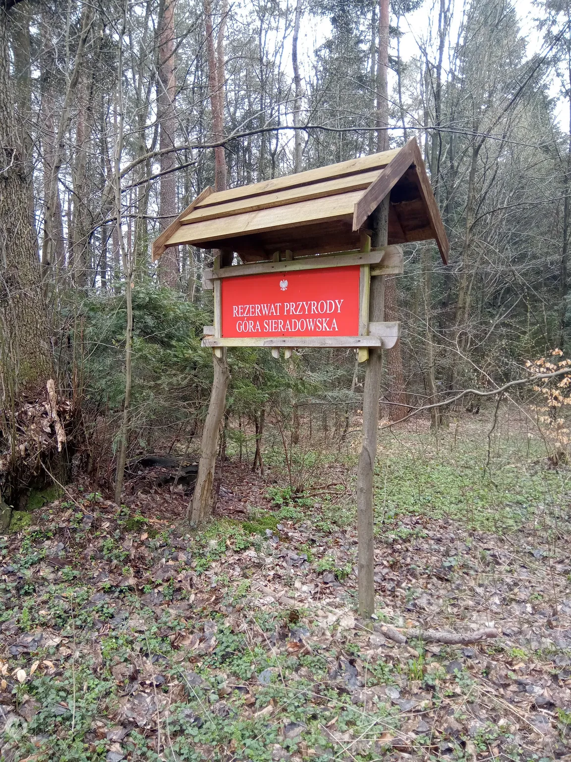 Rezerwat przyrody Góra Sieradowska