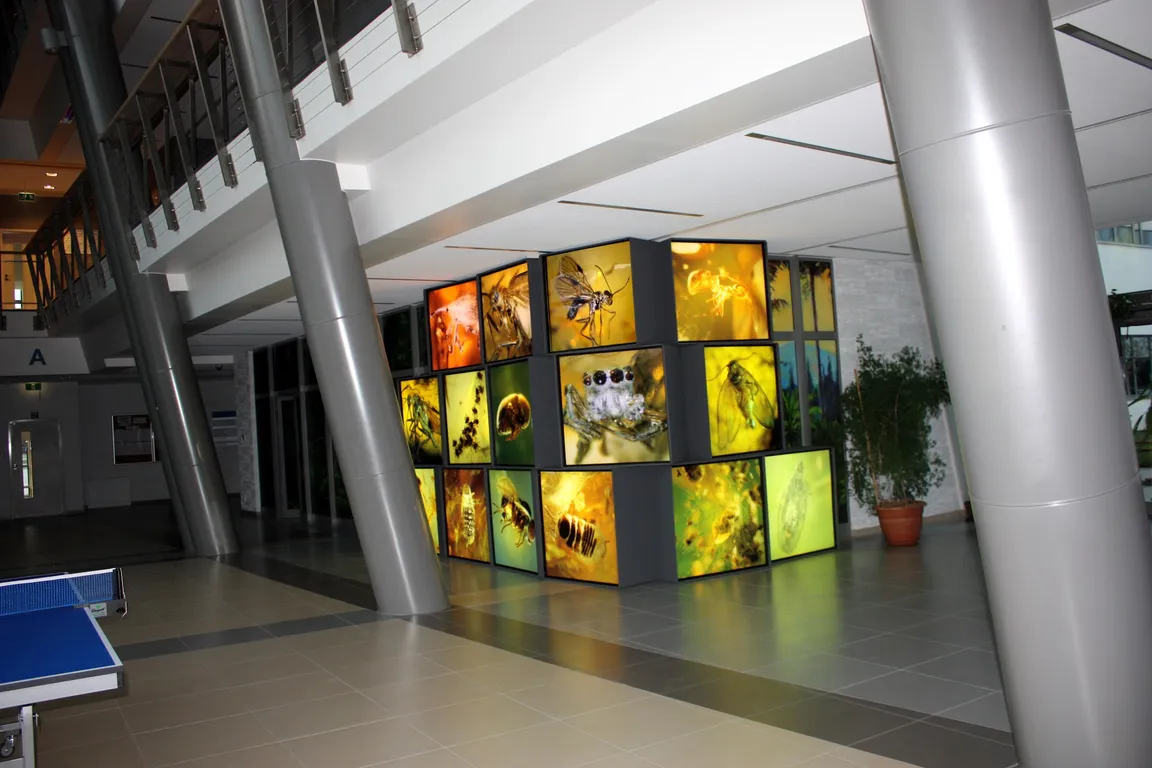 Muzeum Inkluzji w Bursztynie