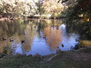 Bridge of the Little Mermaids