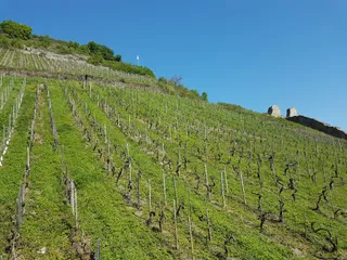 Spitzer Turm