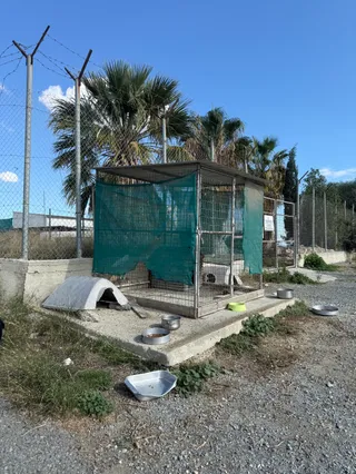 Aradippou DogShelter