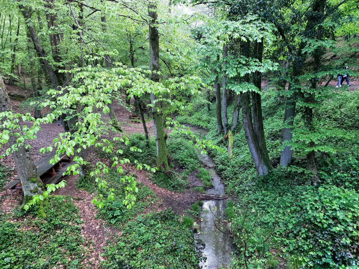 Bentler National Park