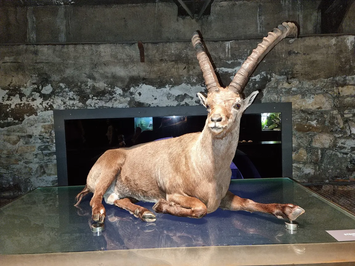inatura - Erlebnis Naturschau Dornbirn
