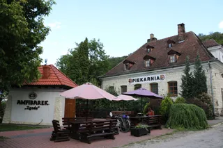 Amfibarek