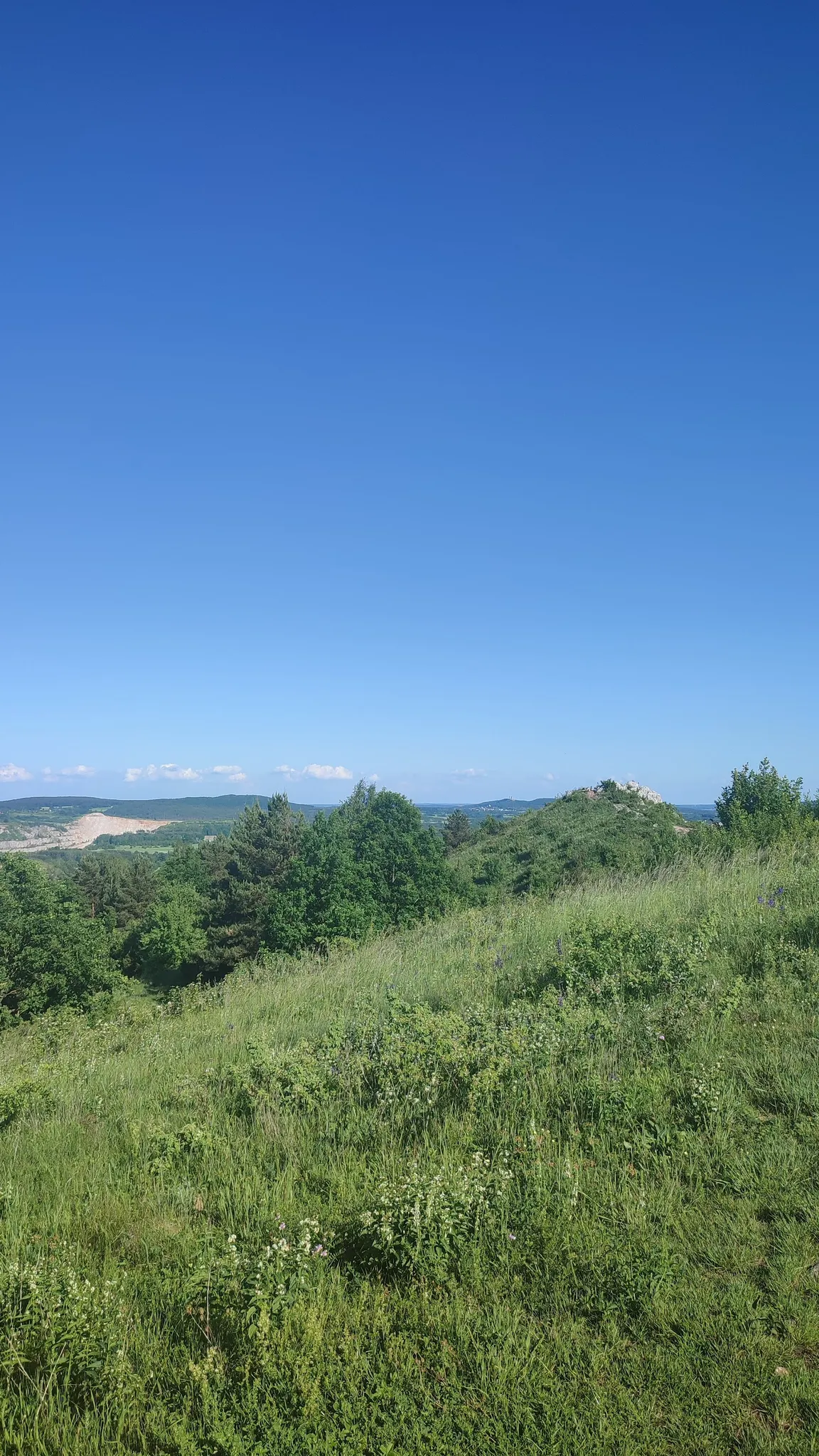 Miedzianka
