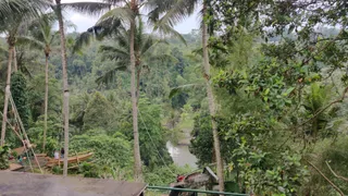 Bali Swing
