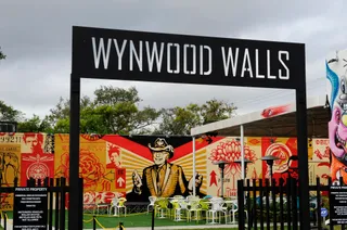 Wynwood Walls Shop