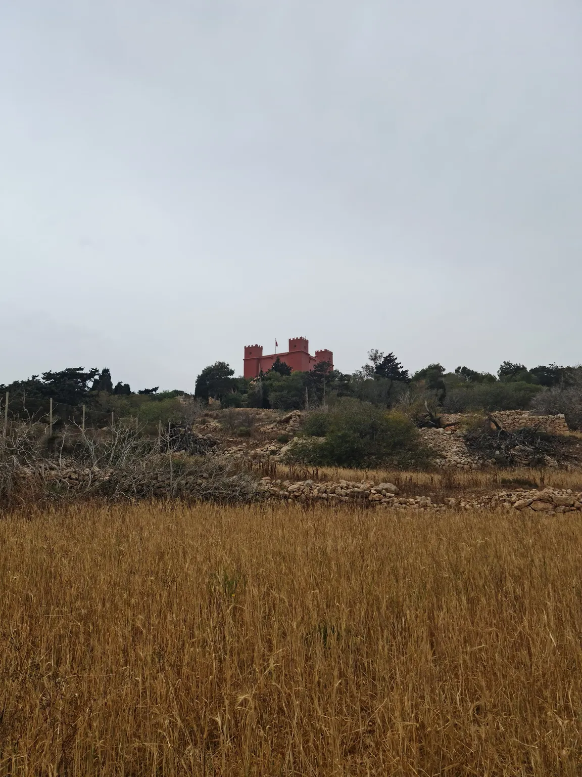 Foresta 2000 Nature Reserve