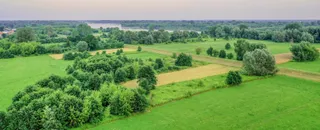 Teren spacerowy nad Wisłą