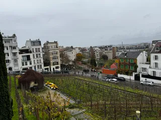 Paris Wine Walks