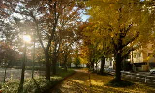 Rokutan Park