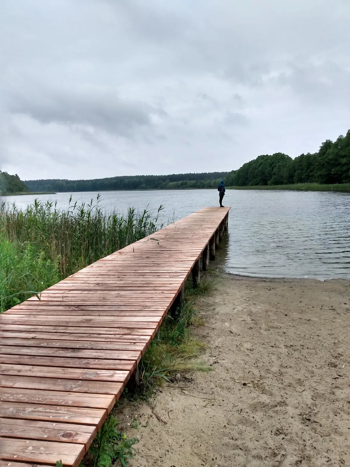 Nossentiner/Schwinzer Heide