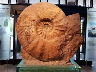 LWL Museum of Natural History with Planetarium
