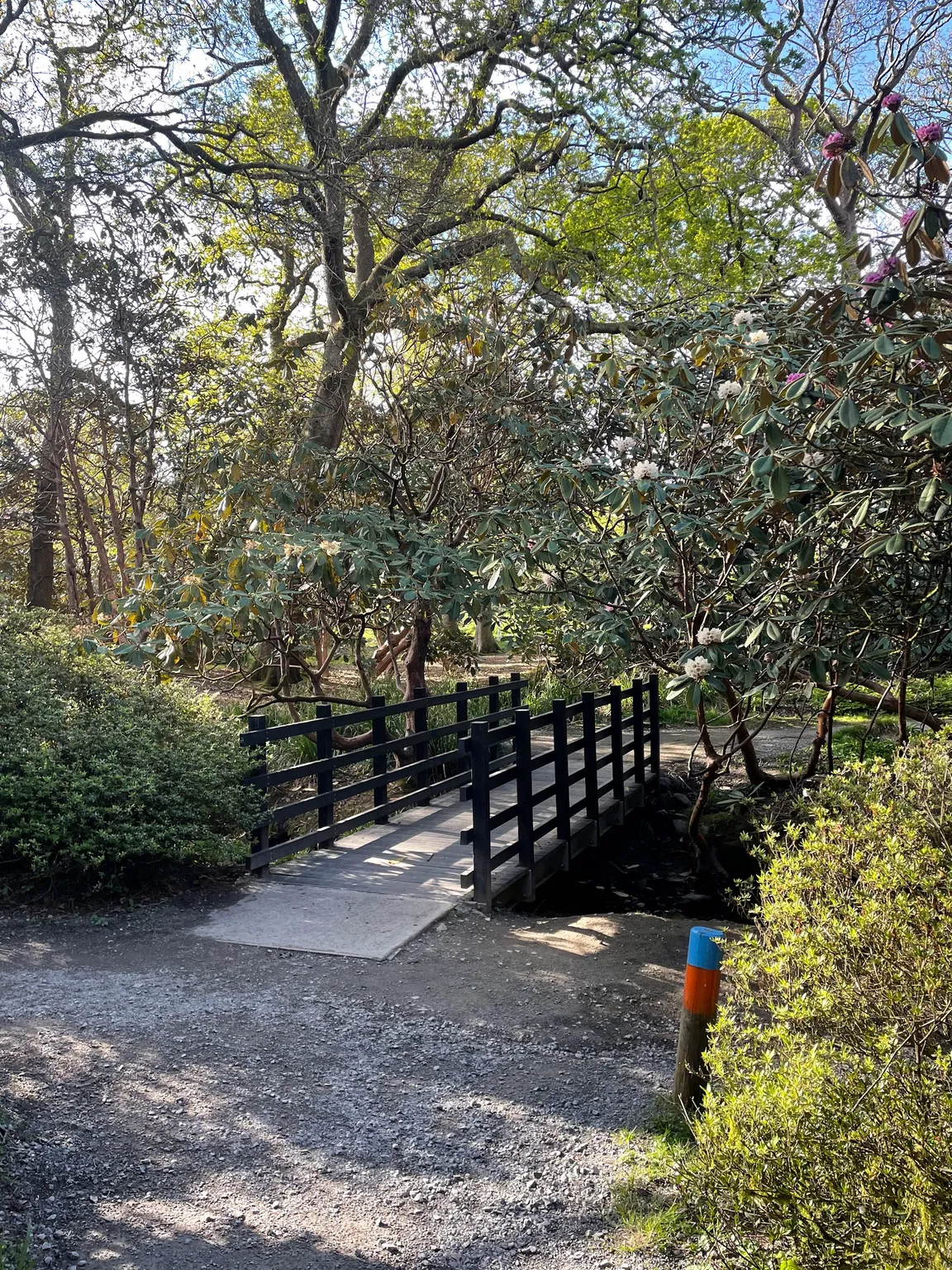 Clyne Valley Country Park