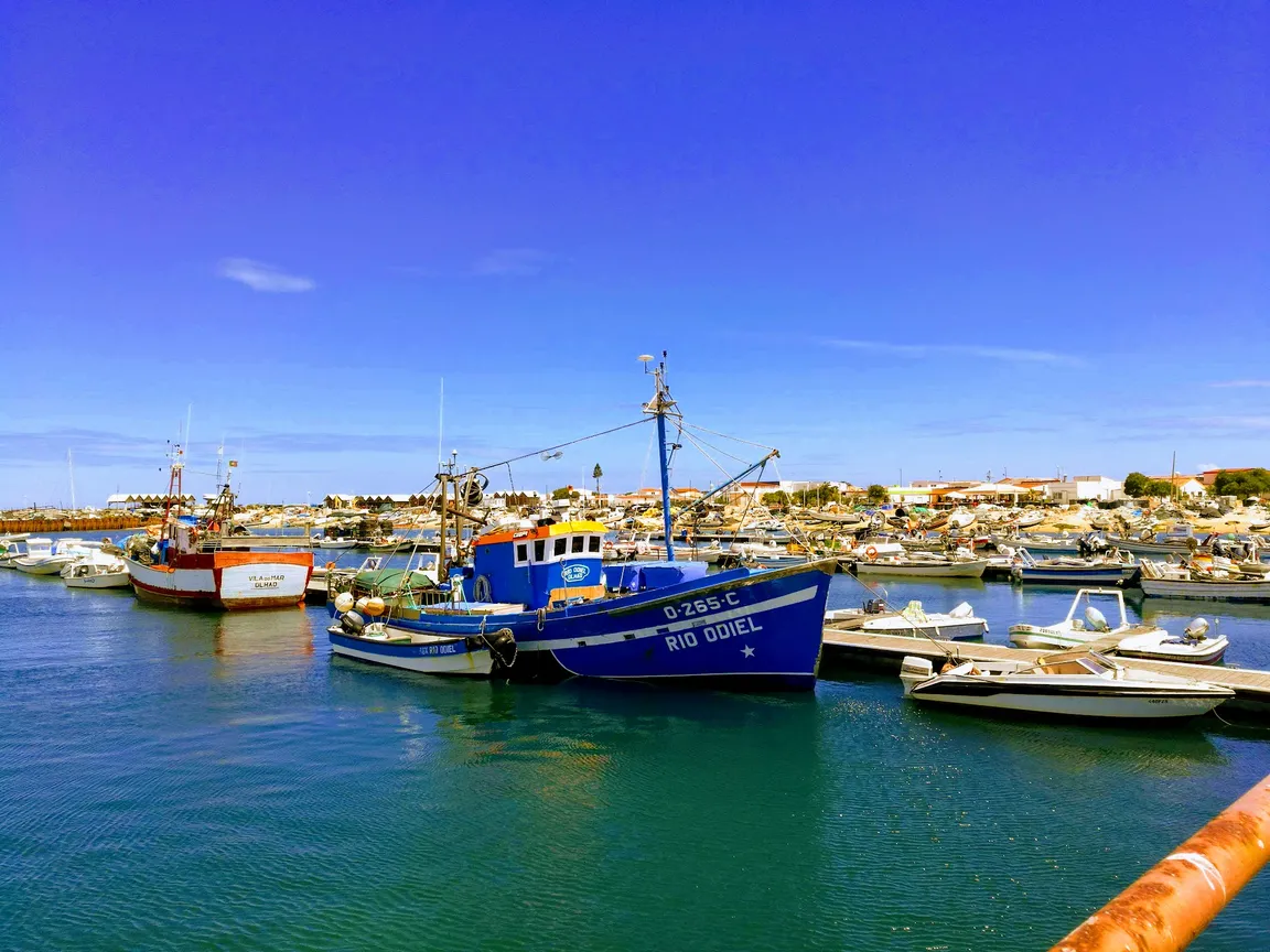 Parque Natural da Ria Formosa