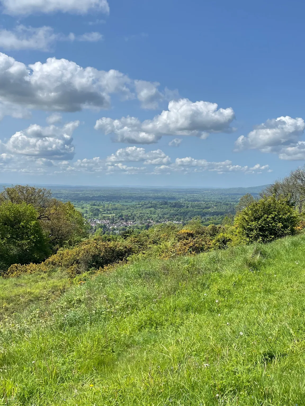 Reigate Fort