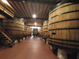 Bodegas Muga