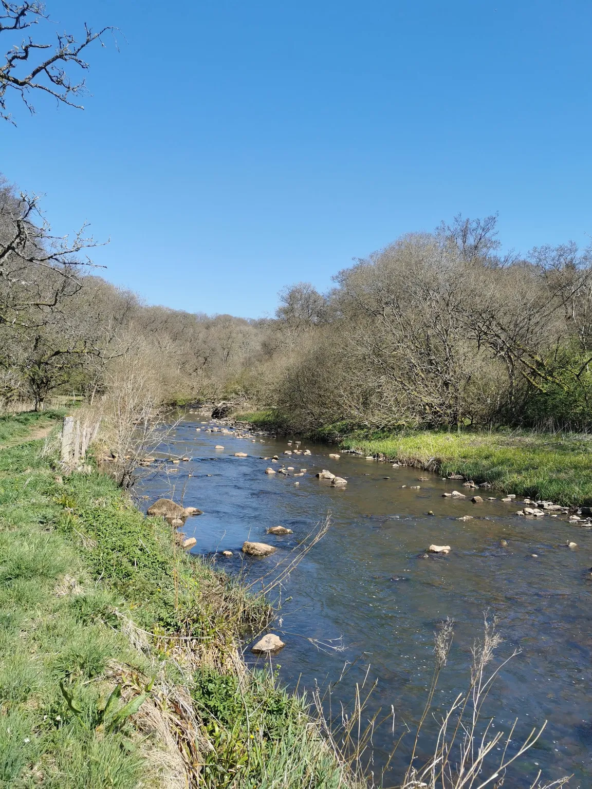 Clyde Valley Woodlands National Nature Reserve (Cartland Crags)