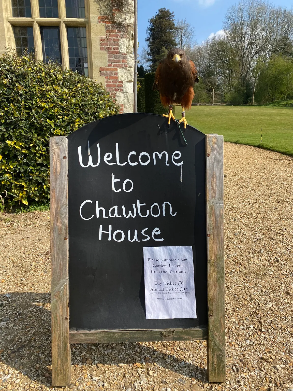 Hampshire Hawk Walks