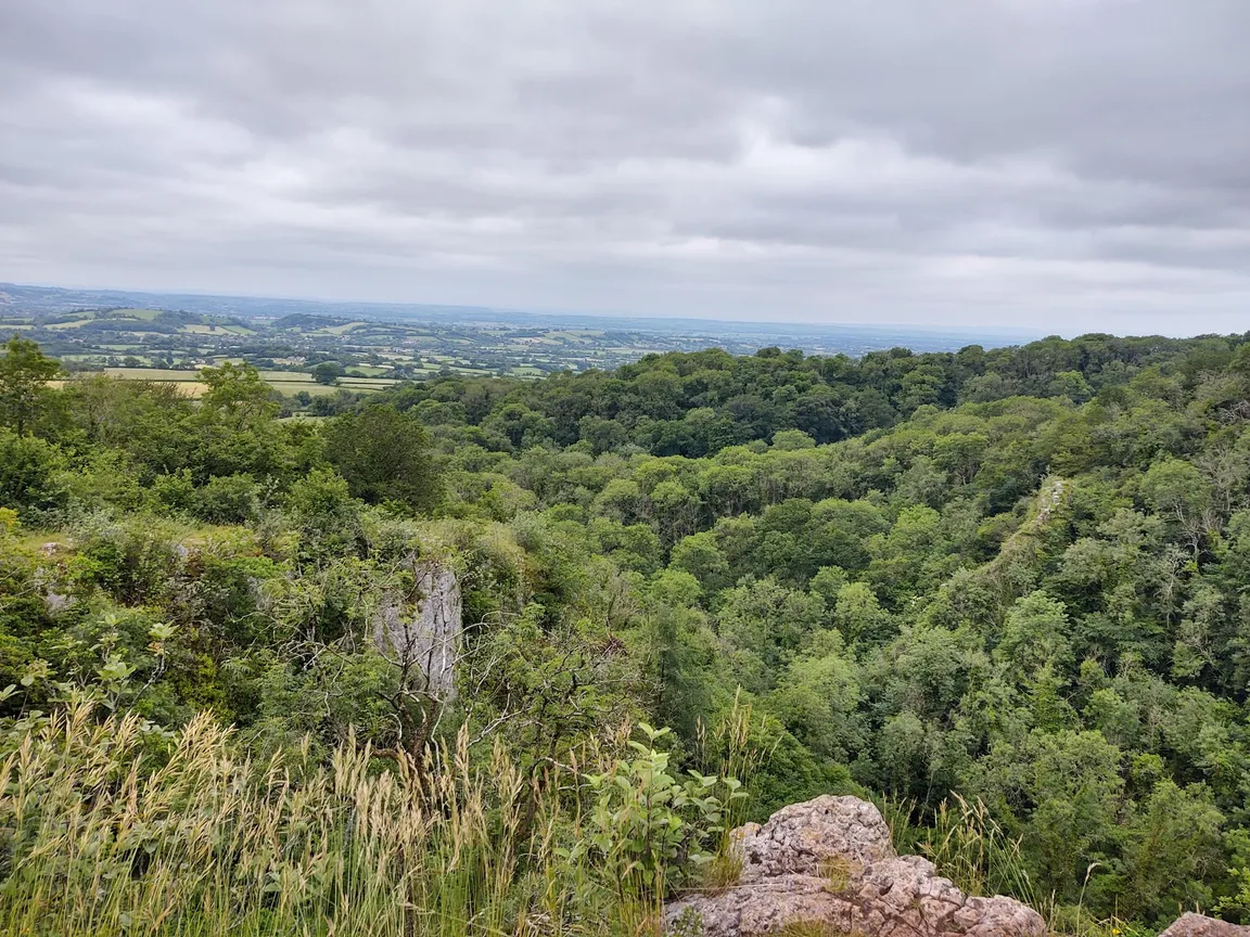 National Trust - Ebbor Gorge National Nature Reserve