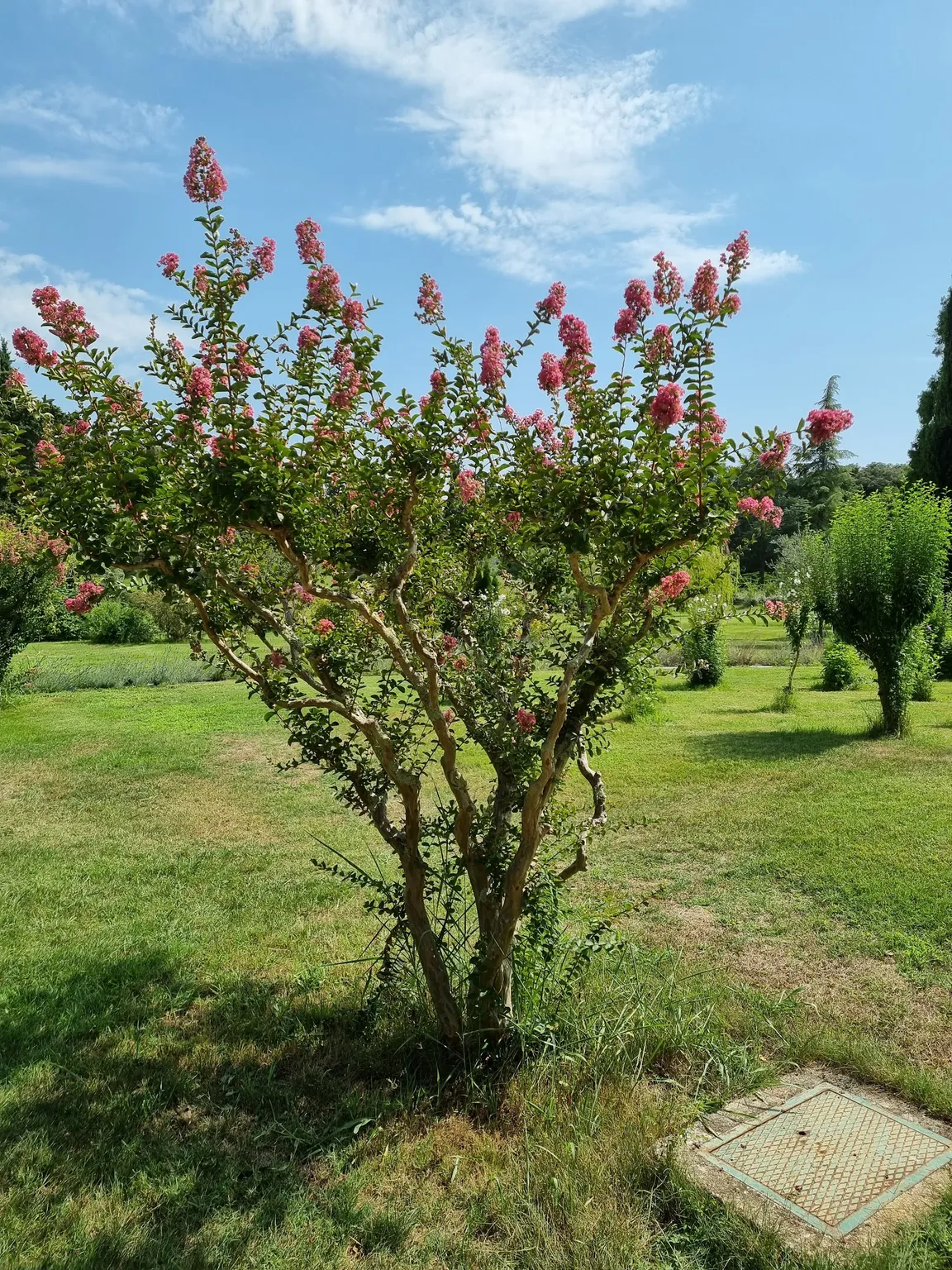 Brijuni National Park