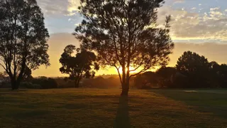 Marrickville Golf Club