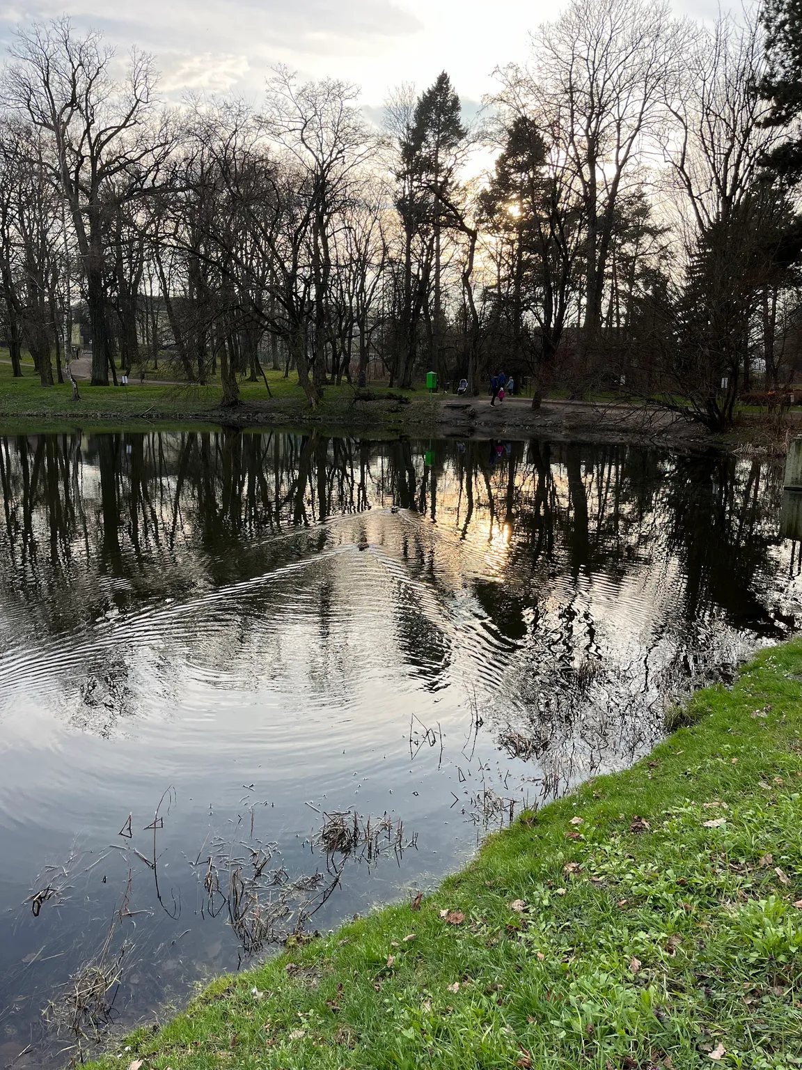 Park Adama Mickiewicza