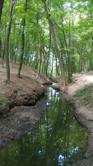 Aktyvna Krayina