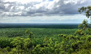 Wild Horse Mountain Scenic Lookout