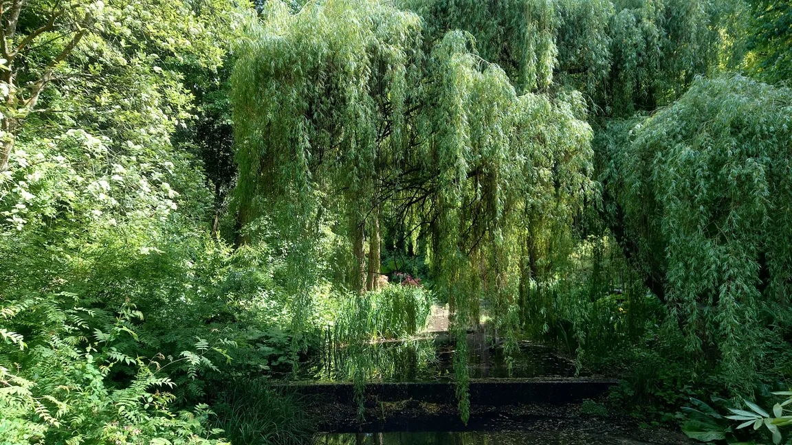 The Lyde Gardens