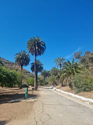 Runyon Canyon Park