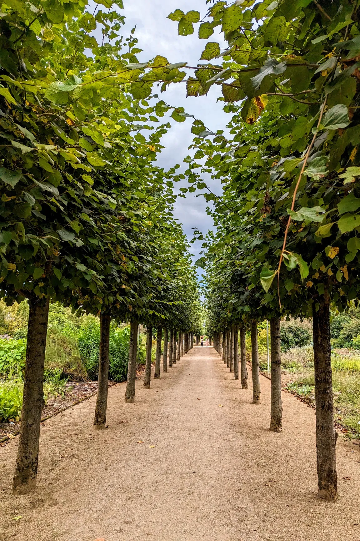Johannes Gutenberg University Mainz Botanical Garden