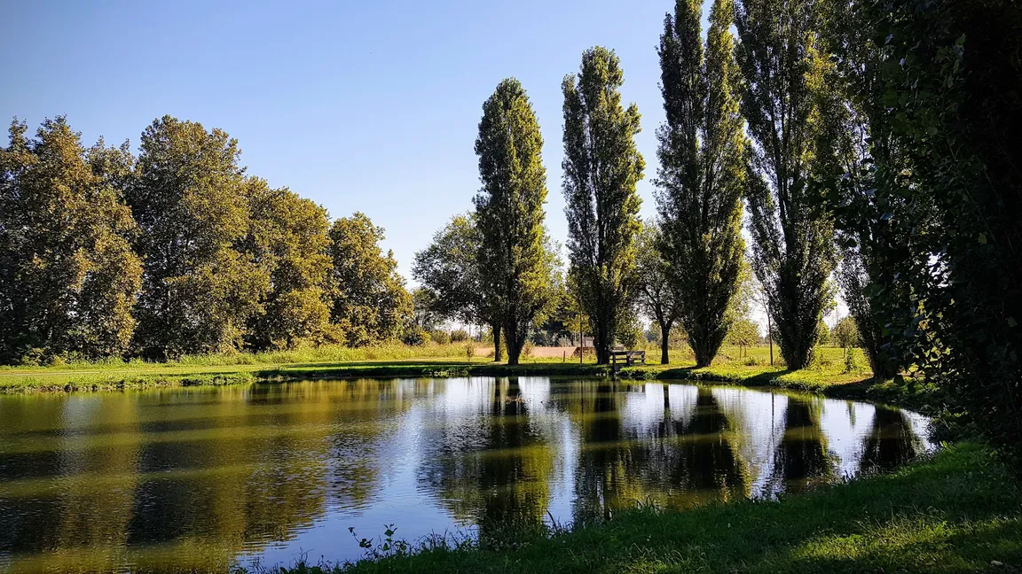 Laghetto del Parco della Vettabbia