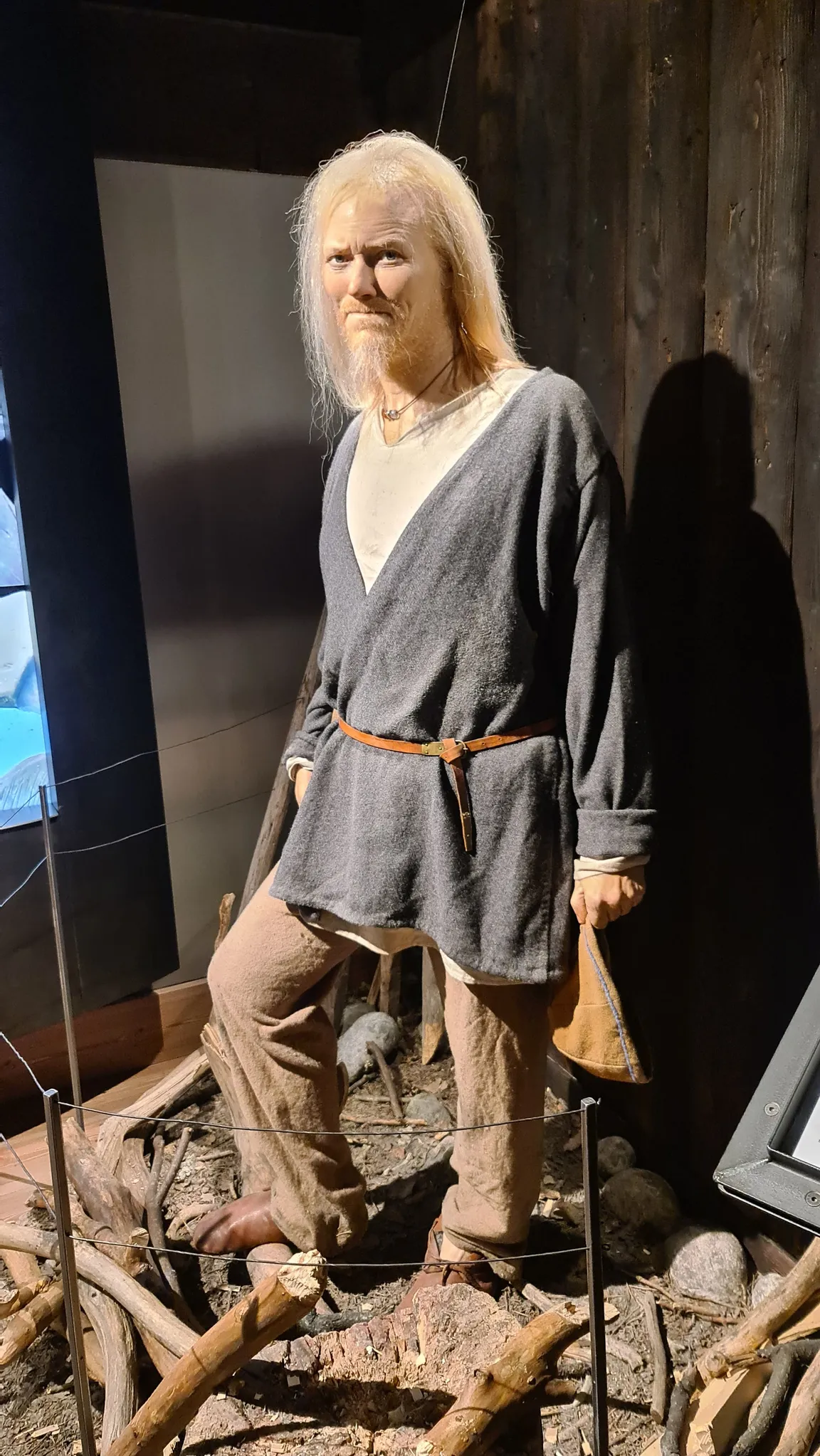 The Viking Museum