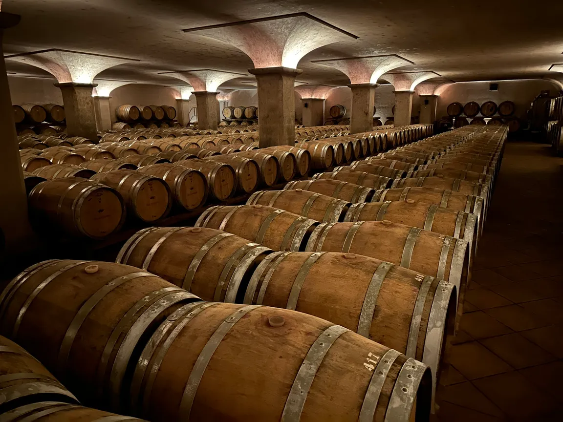 Tenuta San Leonardo