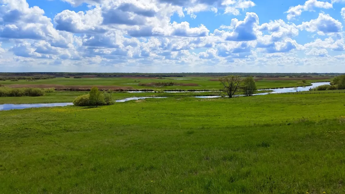 Biebrzański Park Narodowy