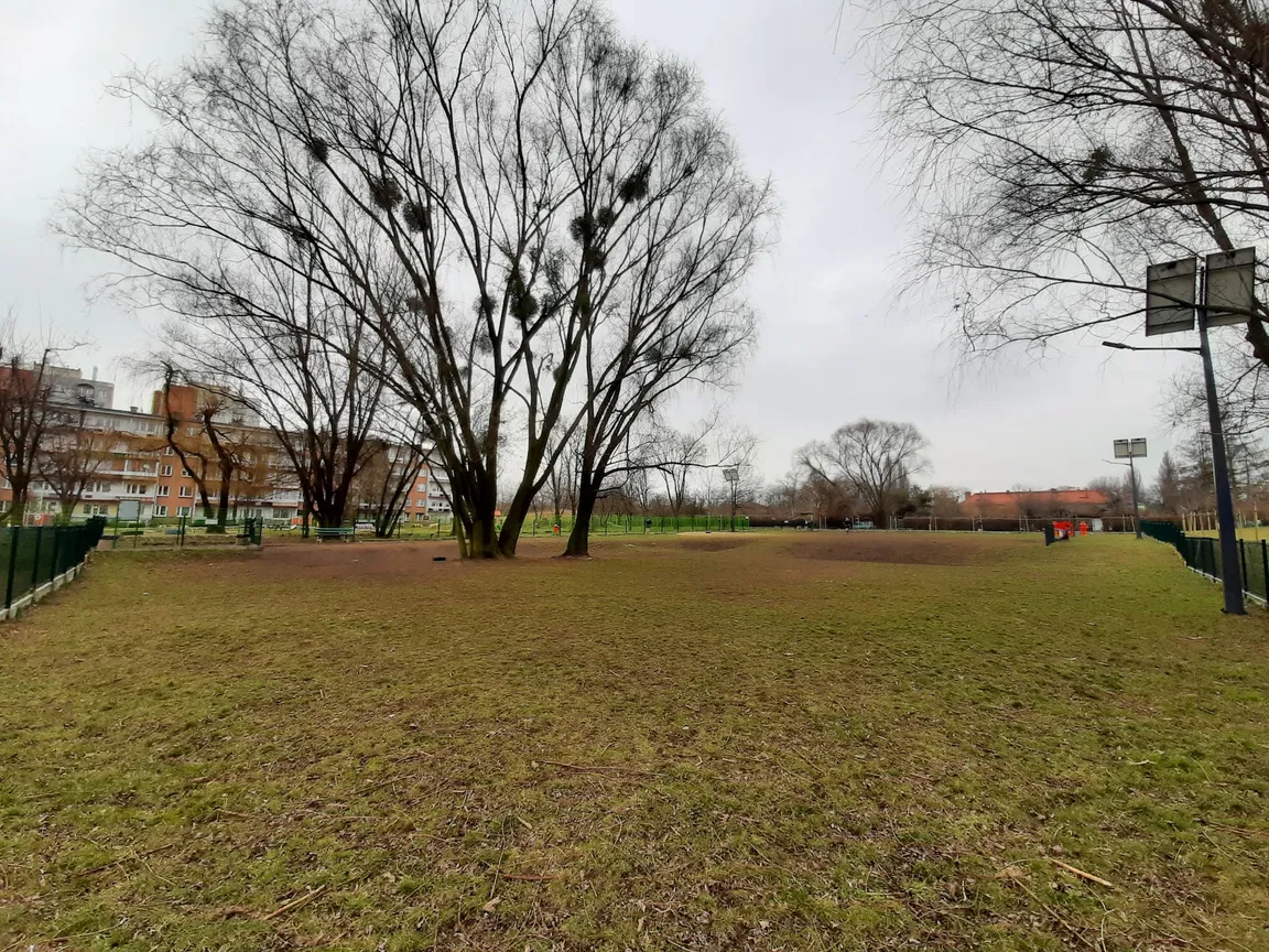 Wybieg dla psów
