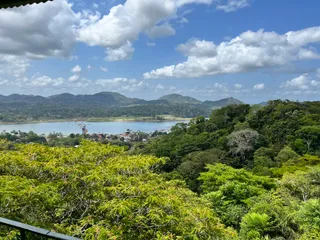 Gamboa Rainforest Reserve