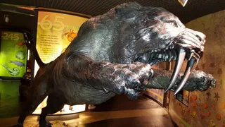 Dynamic Earth
