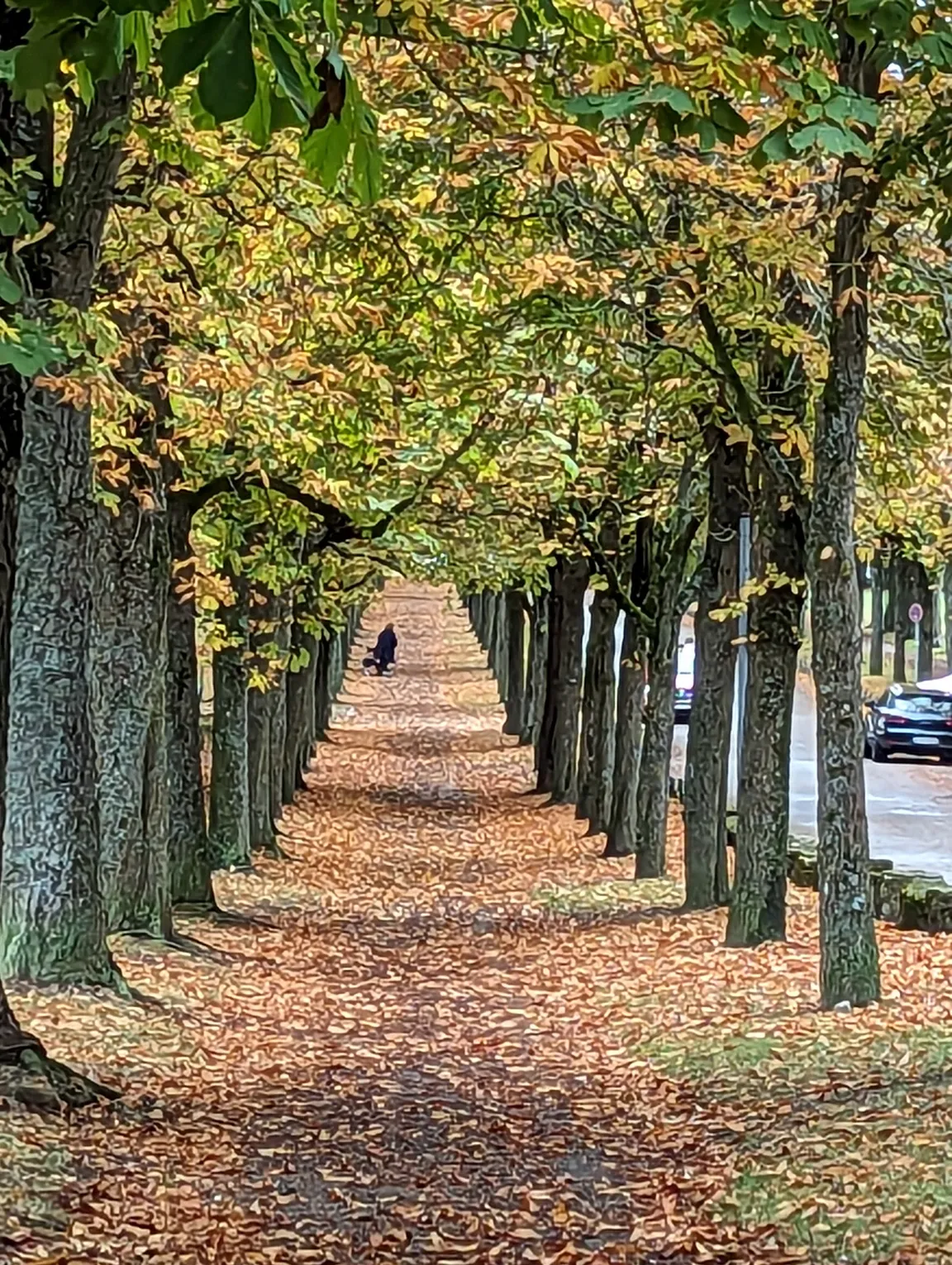 Schloss Solitude