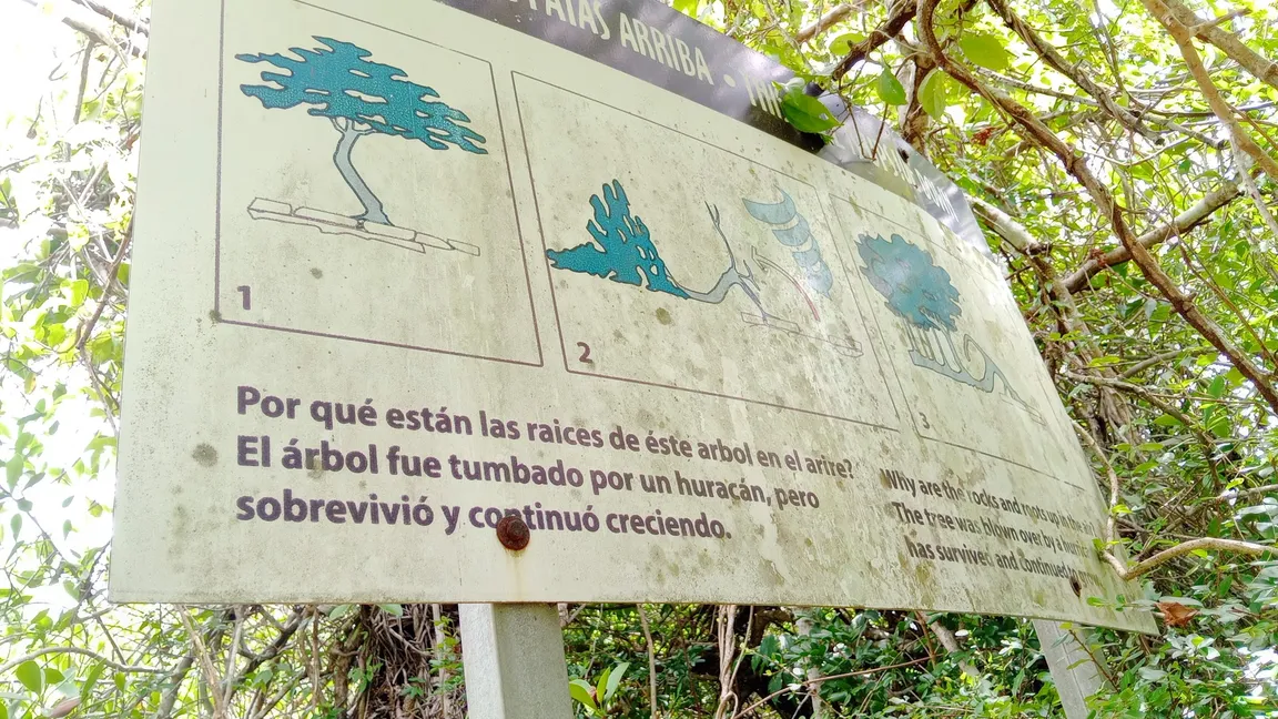 Cueva de Chicho