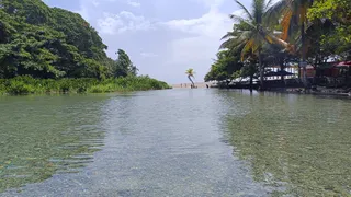 Los Patos de Barahona