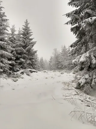 Trasa Narciarska