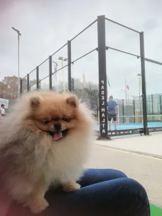 Padel Malta